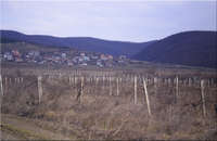 5-4dka-Kosharica-View-North-Mounta.jpg