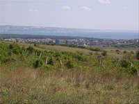 Agricultural Land S.Kranevo, Cherno More