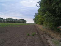 Agricultural Land S. Gurkovo , Balchik